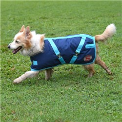 PET3622 NVBB-04